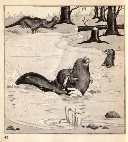 Beaver Otter