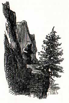 mountainous cliff with bear
