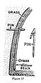 diagram of grass lining of underground food storage pit