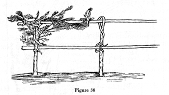 wooden fence with one post still containing foliage