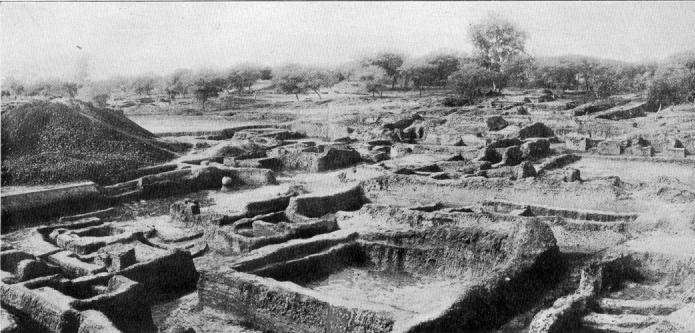 photograph of an archeological site with trees in the background