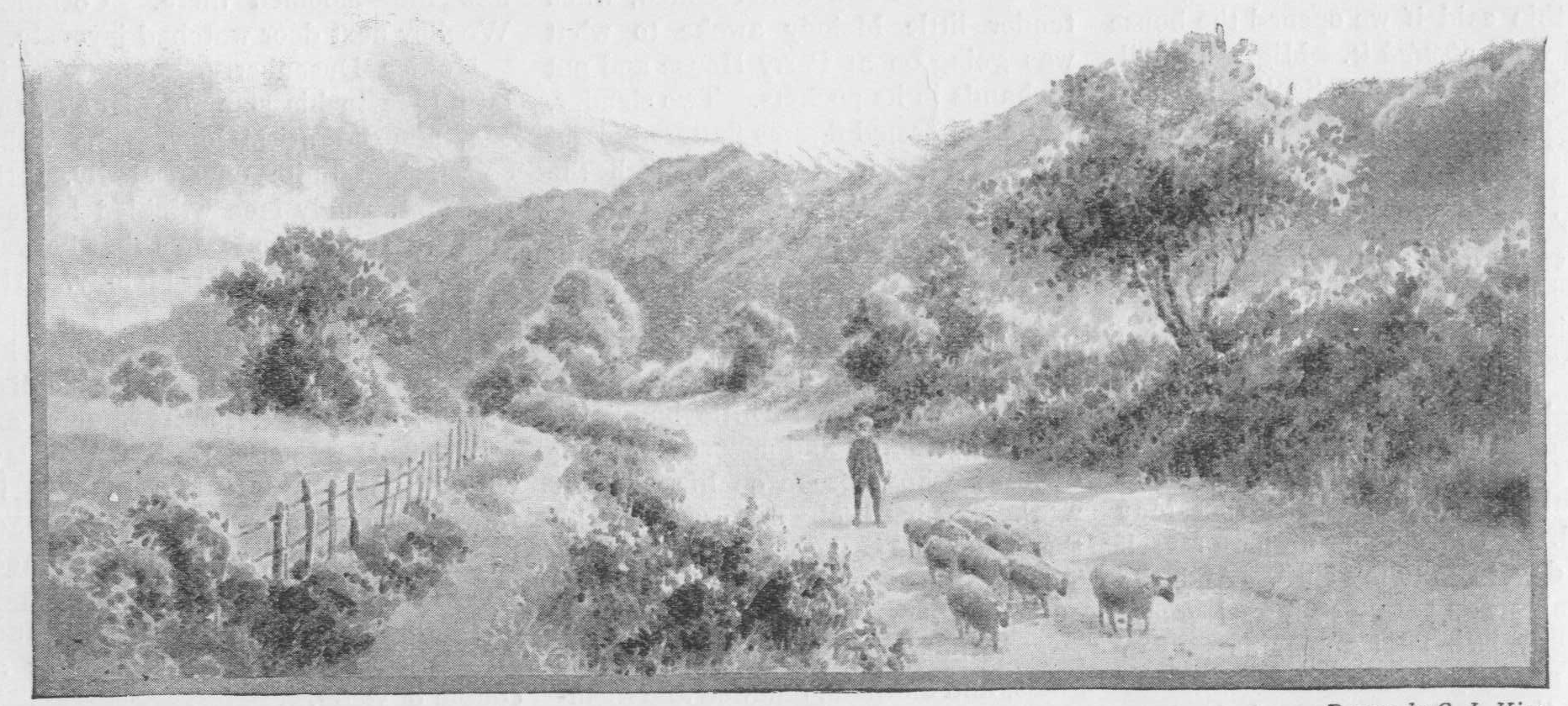 man herding sheep on a hilly country road