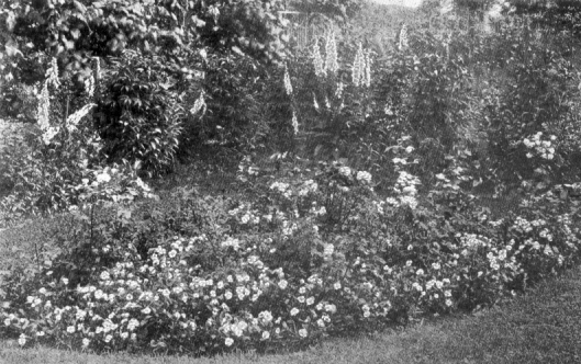 large flower bed surrounded by more flowers