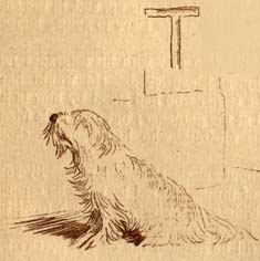 A scruffy long-haired dog. T (illuminated capital for Two)