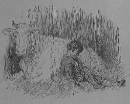 boy napping against cow
