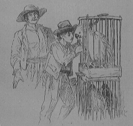 a man and a boy next to two bird cages filled with birds