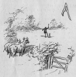 Two cows watching a person holding up a stick and interacting with a dog. A (illuminated letter for Alas).