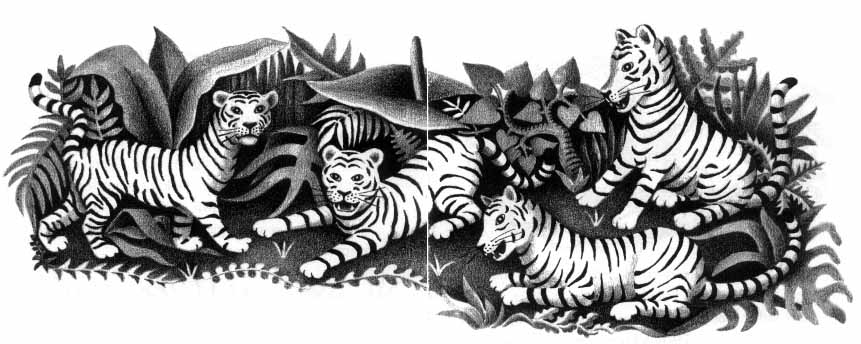 four tigers