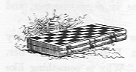 Backgammon board.