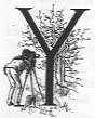 Y (illuminated letter with someone photographing a tree).