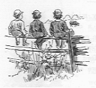Three boys sitting on a fence in the pasture.
