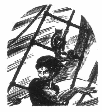 man climbing ship's netting with marmoset climbing above him