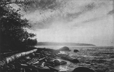 rocky beach with logs on the shore