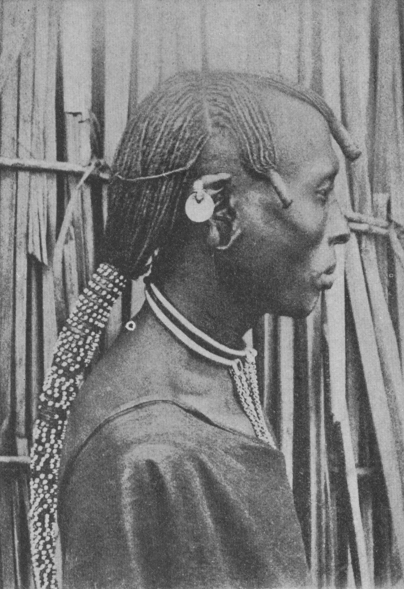 man with thin dreadlocks in profile view