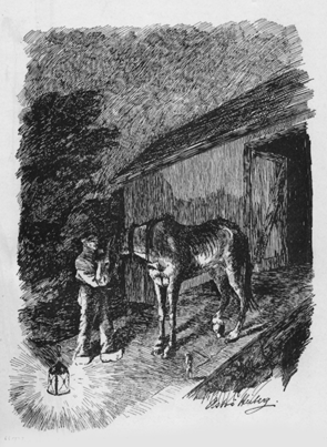 man stroking a horse's neck outside of a shed with open door and a lantern on the ground