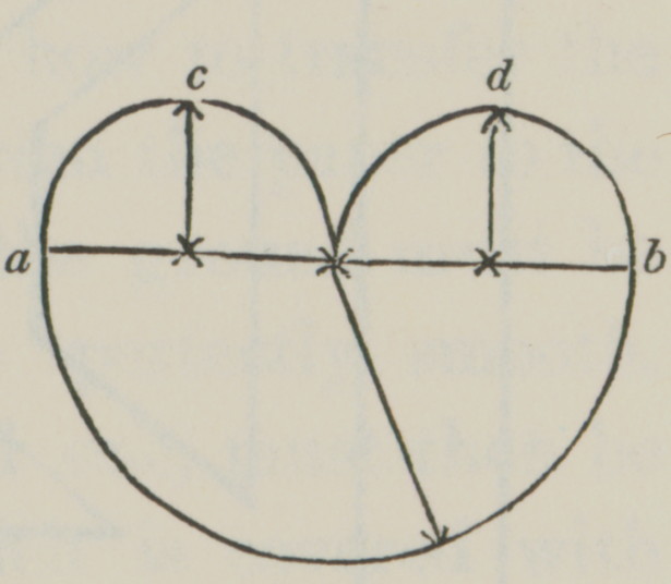 diagram for heart-shaped garden plot
