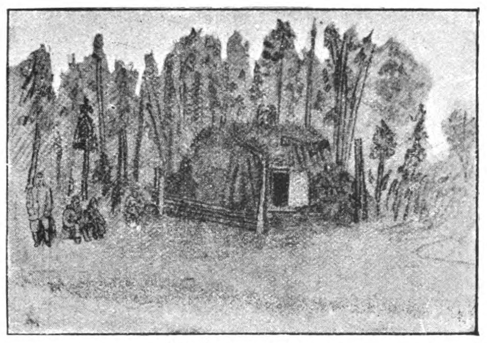 hut in front of trees