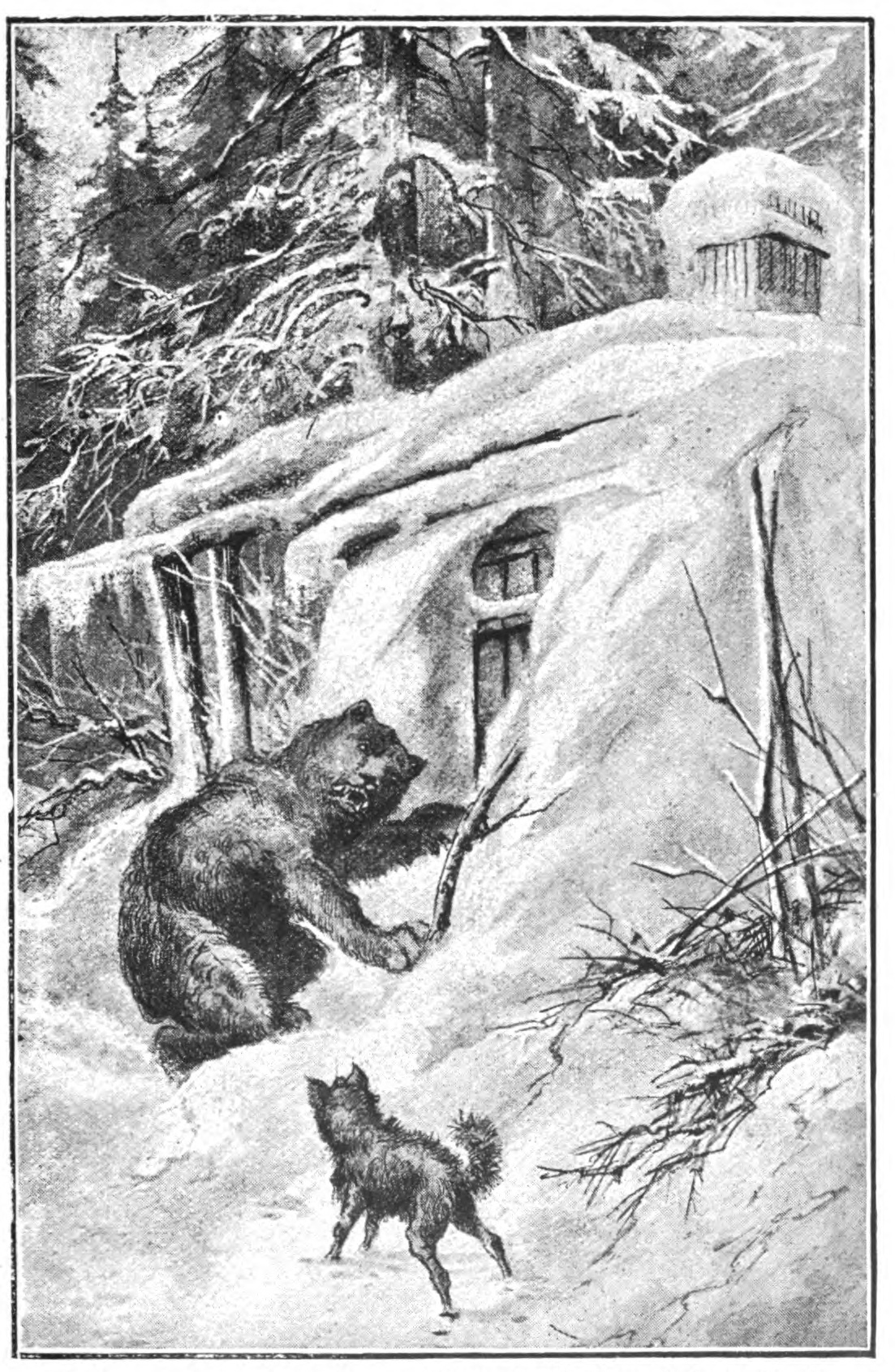 dog drawing the attention of the bear away from the hut