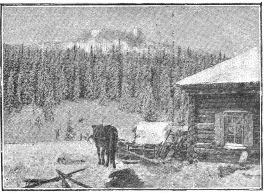 horse with sledge next to a house, mountains and trees in the distance