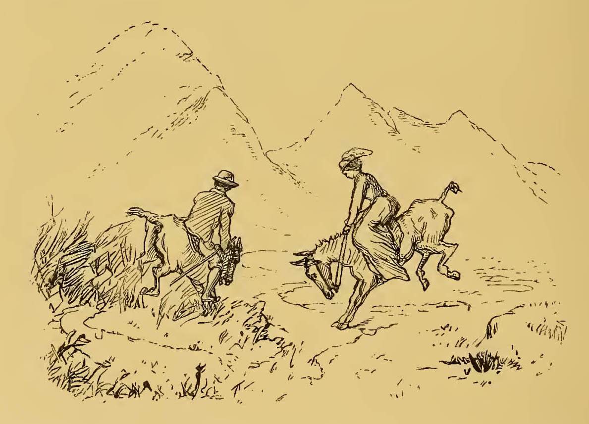 man and woman riding bucking mules
