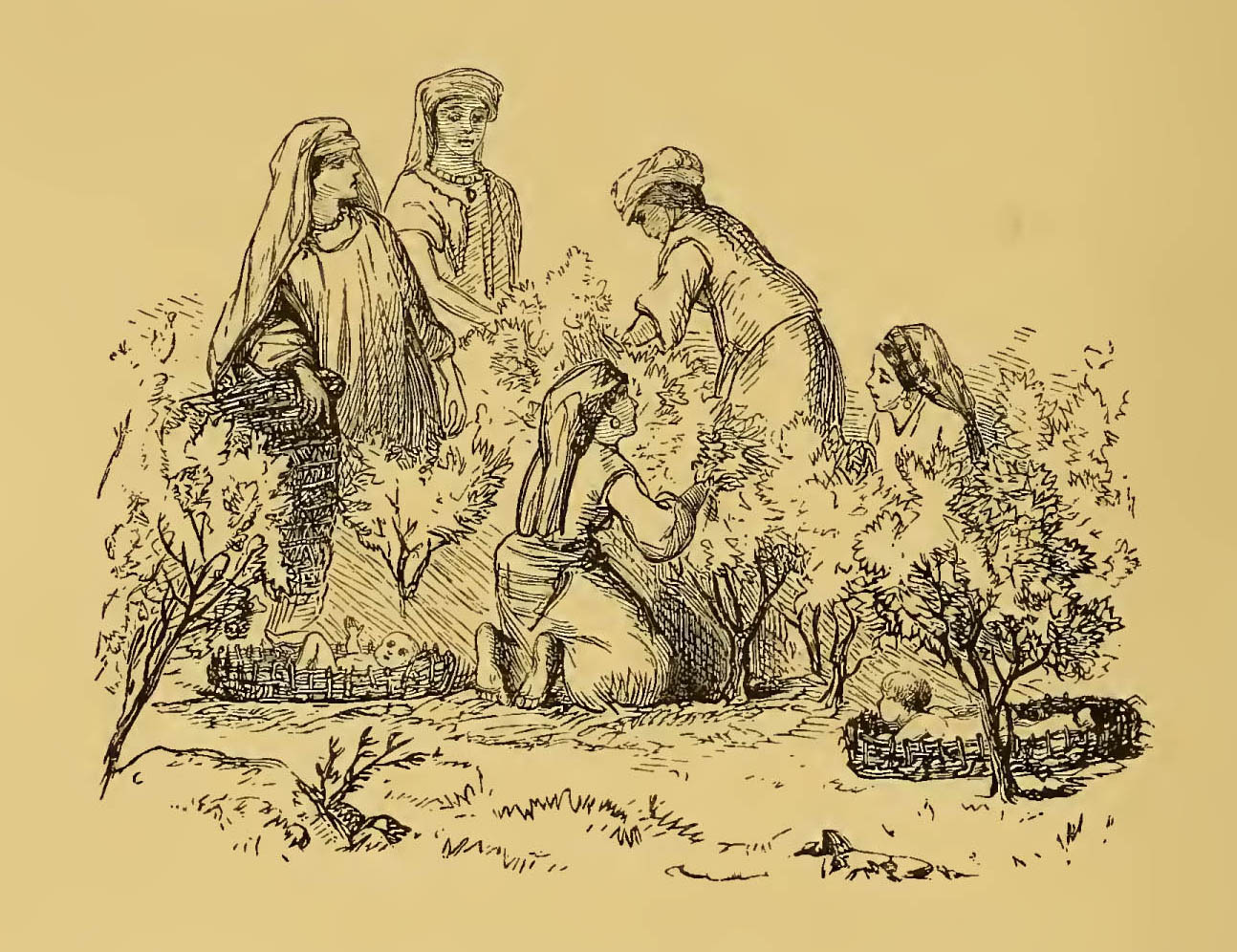 women picking tea at a tea plantation