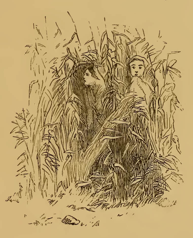 two women standing in bamboo