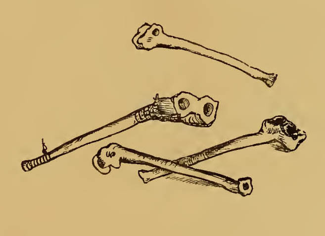 Bone trumpets