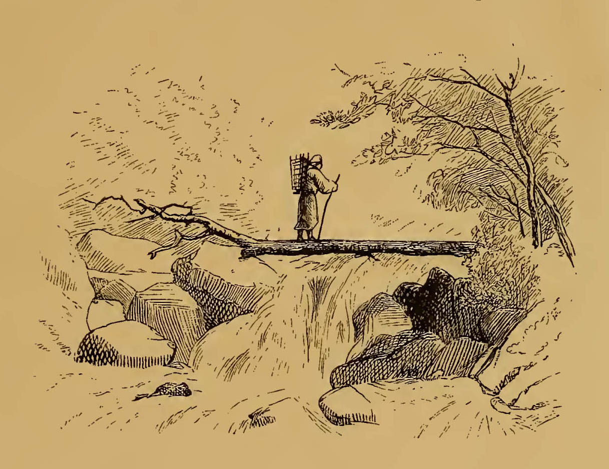 man crossing fallen tree over a gorge