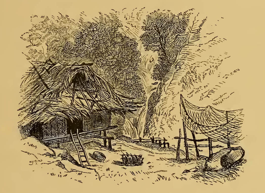 hut with straw roof