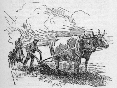 Plow pulled by oxen.