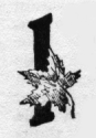 Maple leaf: I (illuminated capital for I am)