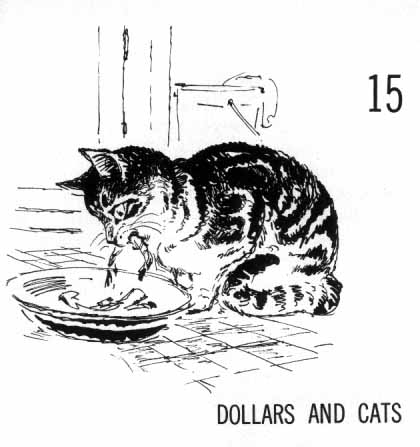 Chapter Fifteen: Dollars and Cats. Cat eating food from a bowl.