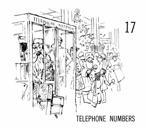 Chapter Seventeen: Telephone Numbers. Woman with packages in phone booth, crowd of people, Santa, and Christmas decorations all around.
