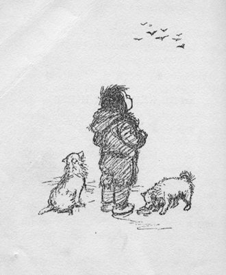 boy and dogs see a flock of ravens