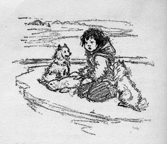 boy and dogs on ice raft
