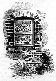 Image of window in a brick wall
