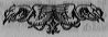 small decorative image of a scroll