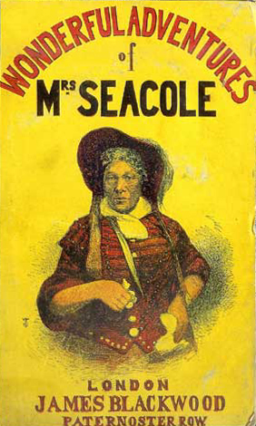 Bright yellow cover of book with red block lettering and an illustration of Mrs. Seacole in her hat and bright red coat.
