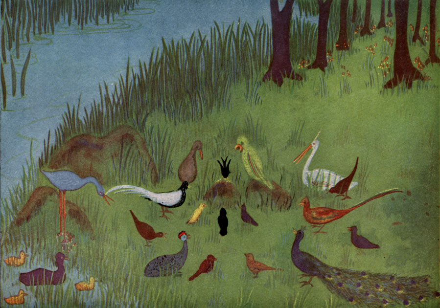 A group of varied birds gathered in some grass at the edge of water.