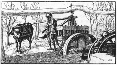 man near a buffalo turning a well-wheel