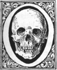 O (illustrated letter) skull