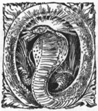 O (illustrated letter) snake