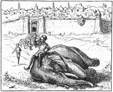 man seated on a dead elephant