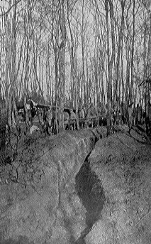 a trench in the forest