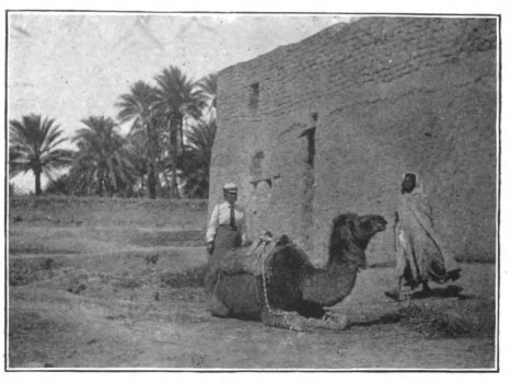 man and woman standing by a resting camel