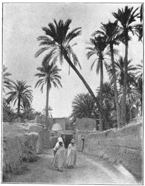 two people walking down a walled street with palm trees in background