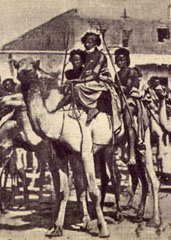 Shaiab tribes on their camels