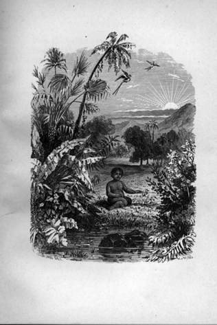 young girl sitting by water in tropical scene two birds and sunrise in background