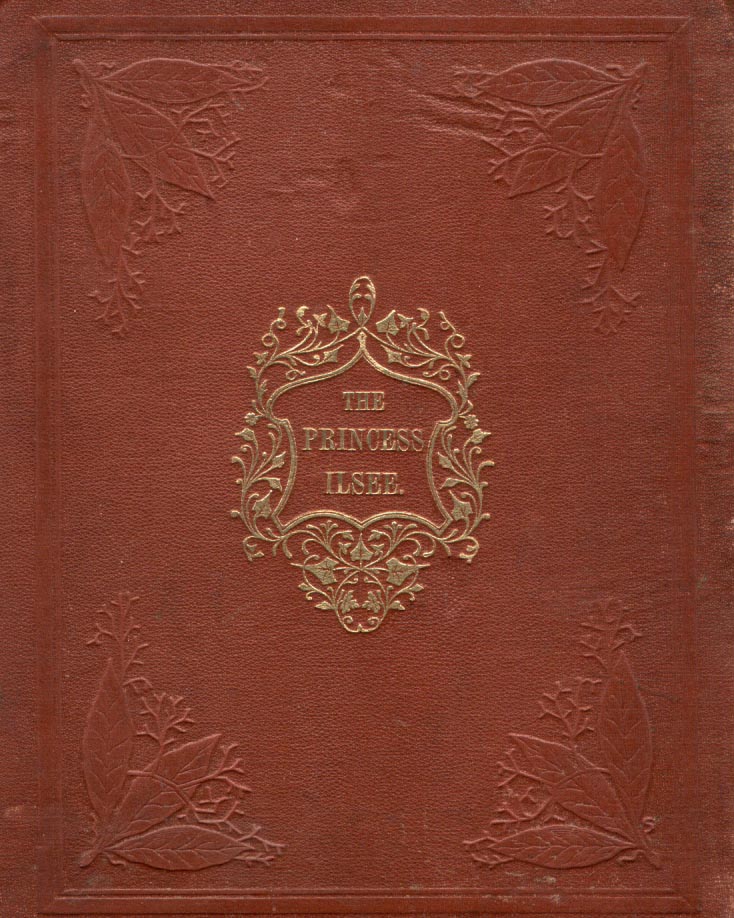 brown leather cover of book with gold title and embossing
