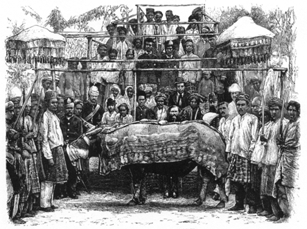 crowd of people to the sides and behind a lavishly decorated buffalo